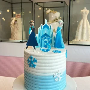 كيكة ميلاد 009