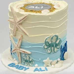 كيكة مواليد 007