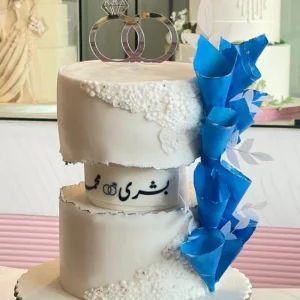 كيكة زواج 013